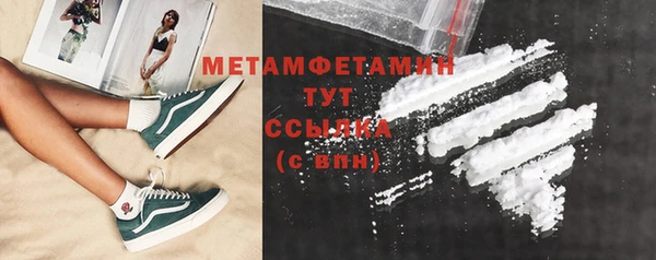 гидра Вязьма
