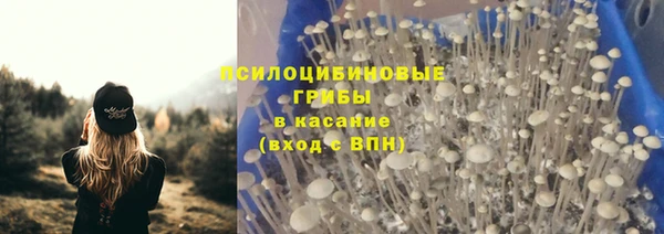 гидра Вязьма
