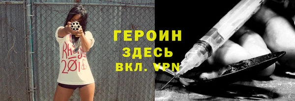 гидра Вязьма