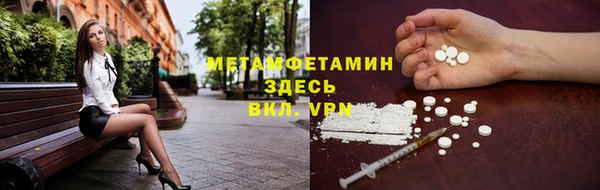 гидра Вязьма