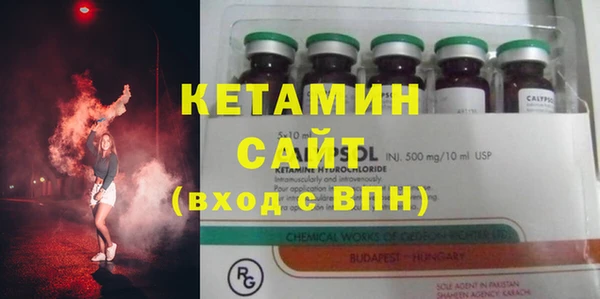 гидра Вязьма