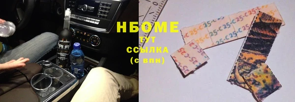 гидра Вязьма