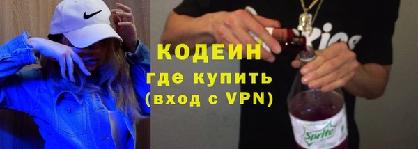 гидра Вязьма