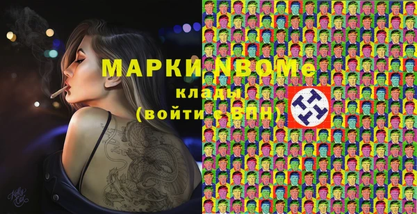 гидра Вязьма