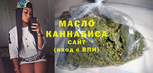 гидра Вязьма