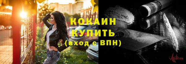 гидра Вязьма